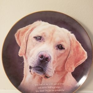 Danbury Mint Golden Retriever Collector's plate "Eyes of Love"